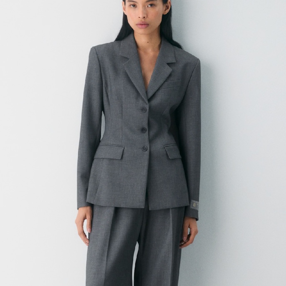 Aritzia Babaton Standout Blazer